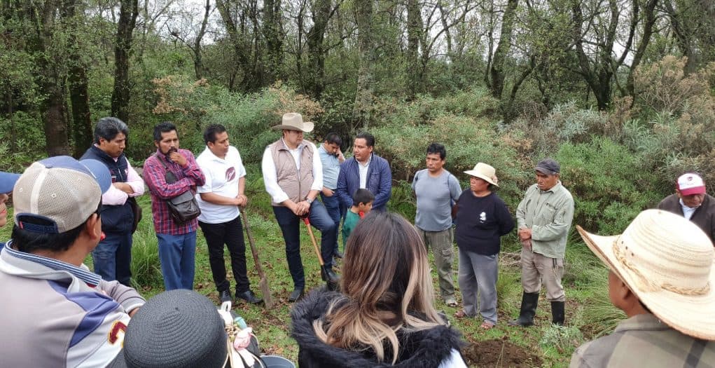 La industrialización del Cáñamo para el crecimiento sostenible y el cuidado del planeta impulsa Alejandro Armenta