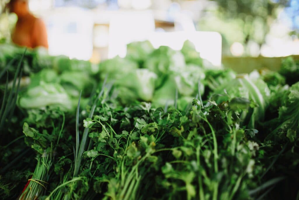 Verduras frescas como lechuga y cilantro en un mercado, potencialmente relacionadas con el brote de ciclosporiasis en México.